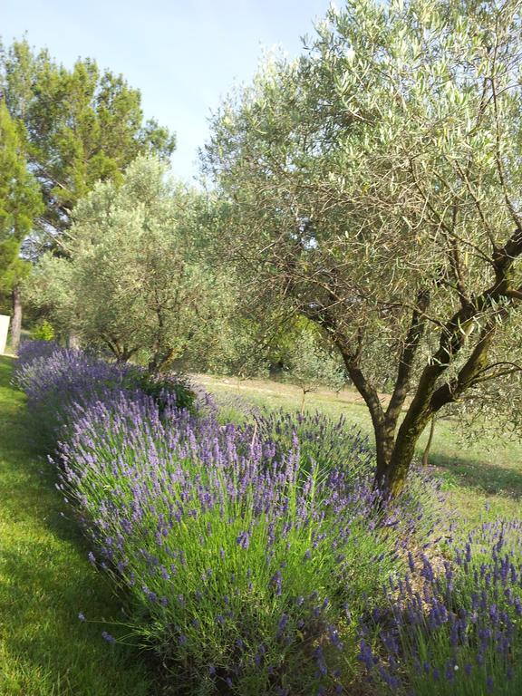 Apartmán L'Amanderaie Piscine Privee A Cote De Lourmarin Luberon Cadenet Pokoj fotografie